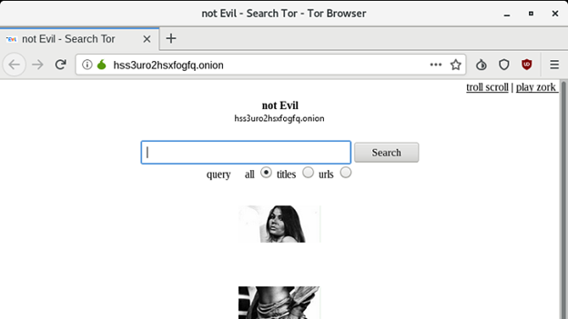 Not Evil Search Engine Download (Access via Tor Browser Guide)