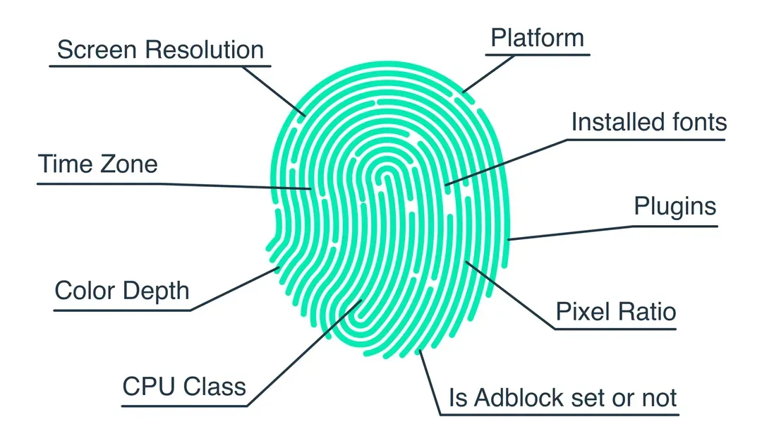 Browser Fingerprinting on Tor: How Websites Track Anonymous Users