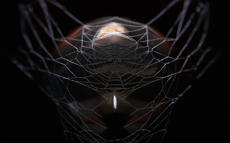 Dark Web Forums